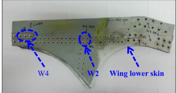 Fig. 1 Fatigue critical locations at wing lower skin 