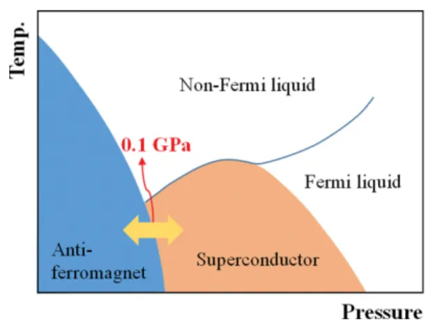 Fig. 11. (Color online) Schematic example of the phase diagram of a heavy Fermion with external stimuli of pressure and temperature.