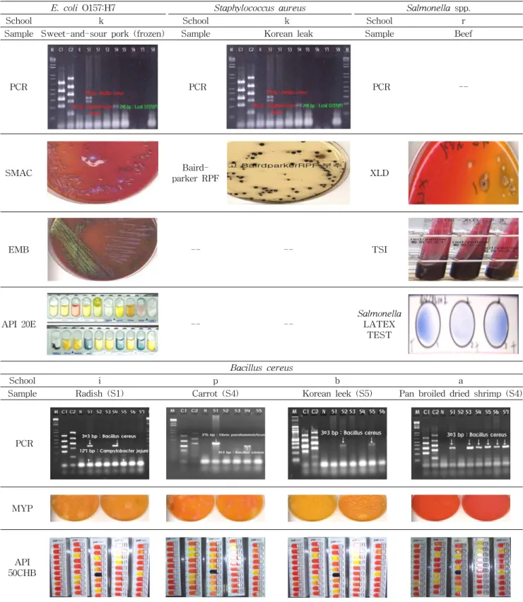 Table  5.  Confirmation  of  food-borne  pathogens  by  biochemical  and  selective  plate  methods