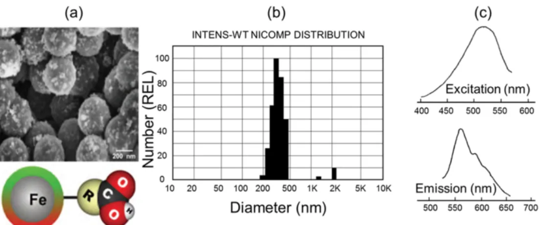 Fig. 2. (Color online) (a) Schematic diagram of a composite gate, dual dielectric ISFET