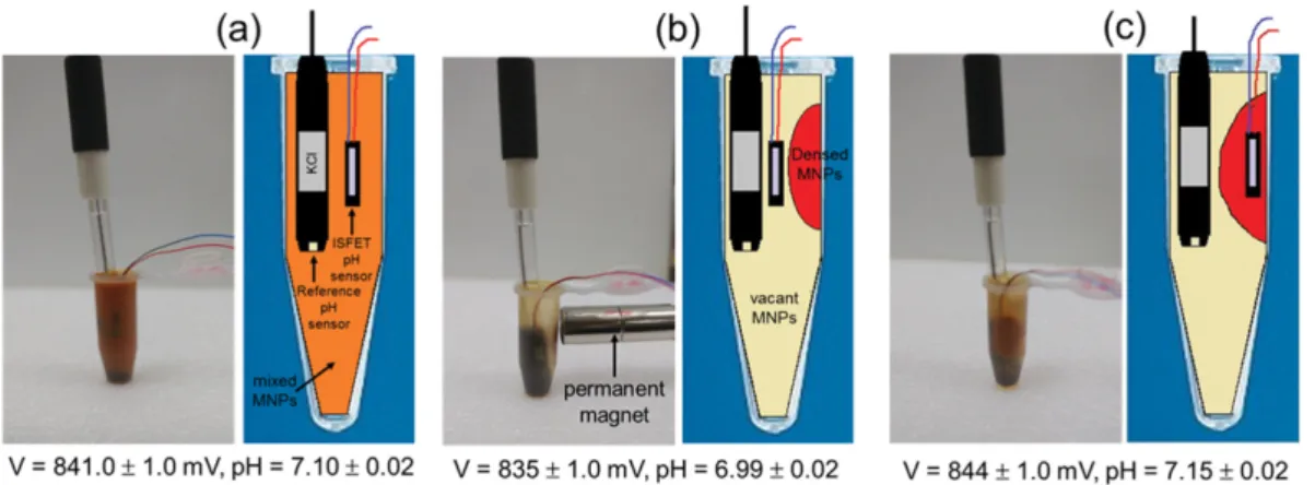 Fig.  4.  (Color  online) The  variation curves  of output  voltage  V (pH) = V DS   and  pH  value  of ISFET pH  sensor during  the  measurement  time (0~60 min)  for  three  samples  consisted  of  (a)  pH  3.0  (0.6 ml) + MNPs  (3.0 ml),  (b)  pH  6.0  