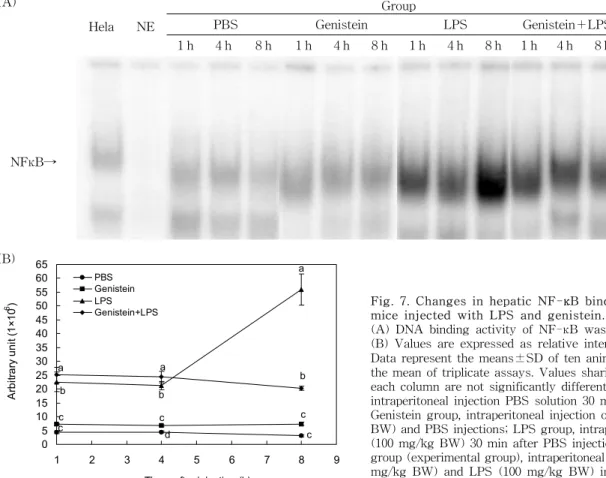 Fig.  7.  Changes  in  hepatic  NF- κ B  binding  activity  BALB/c  mice  injected  with  LPS  and  genistein.