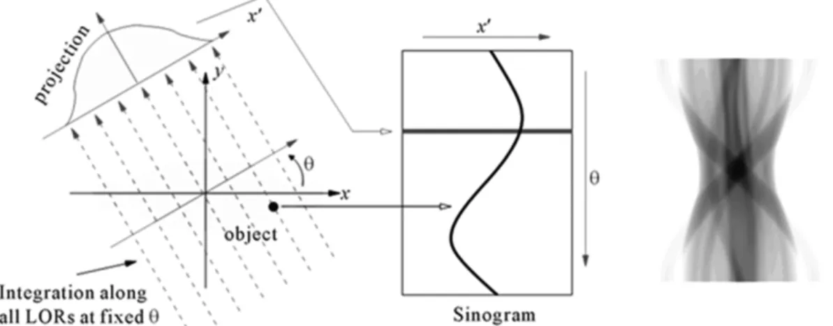 Fig. 5. Illustration of a projection and a sinogram.