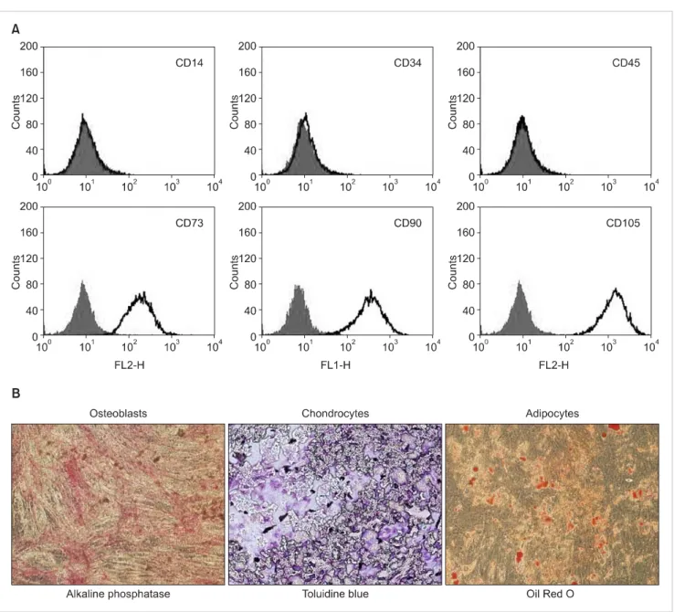 Fig. 1. Characteristics of MSCs isolated from human bone marrow. (A) Flow cytometric analysis of MSC cell surface markers