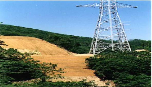 Figure  2.  A  typical  scene  shortly  after  the  linear  development  projects