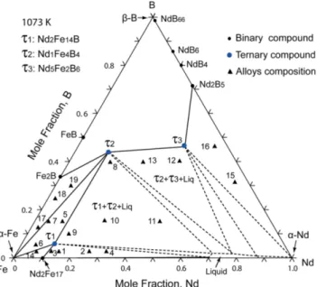 Fig. 4. (Color online) Vertical section of Nd-Fe-B for composition of Nd/B = 2/1.