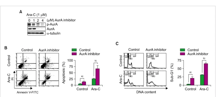 Fig. 2. Effect of co-treatment with Ara-C and AurA inhibitor in NB4 cells. (A) Expression of p-AurA and total AurA protein after co-treatment with  Ara-C (1 μM) and various concentrations of AurA inhibitor (0, 1, 2, and 4 μM) for 48 h