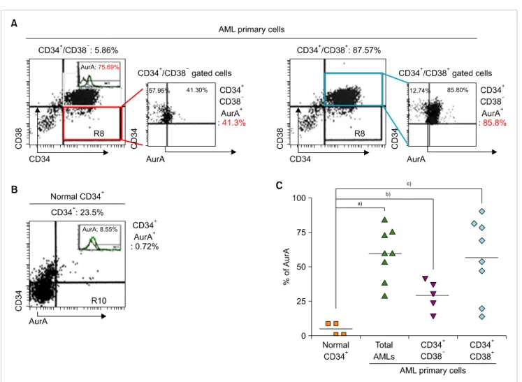 Fig. 4. Expression of AurA kinase in primary AML cells and normal hematopoietic cells