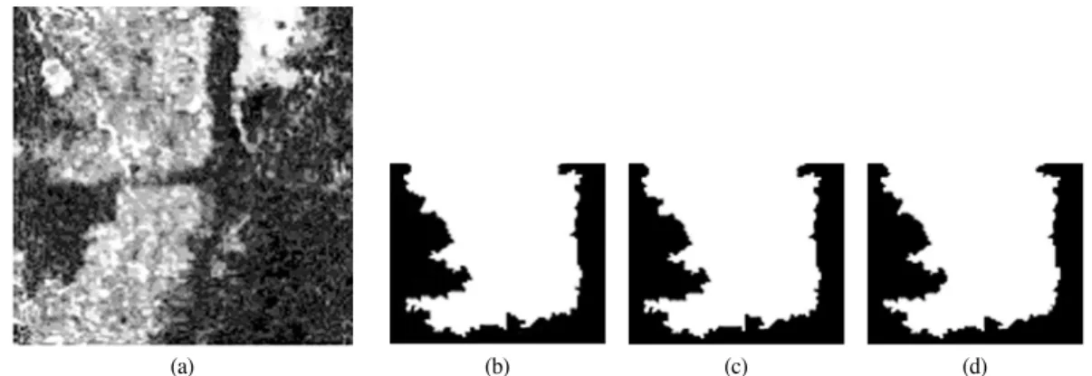 Table 3.  Segmentation errors by anisotropic diffusion pyramid.