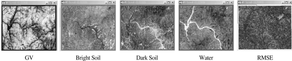 Fig. 3.  Fraction images from Spring TM image (May 21, 1999).