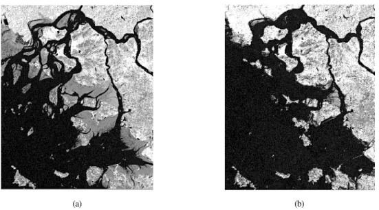 Table 1.  List  of  multi-temporal  Landsat  TM  data  obtained  at different sea level.