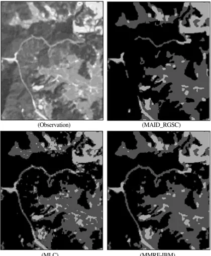 Fig. 11.  Results of classification for enlarged sub-area image of Fig. 10.