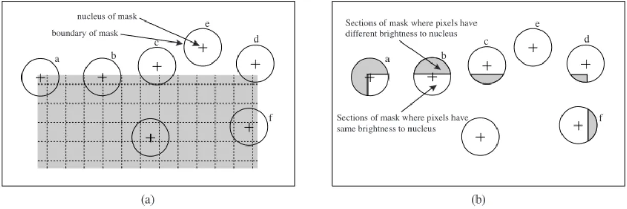 Fig. 3.  SUSAN principle: (a) circular masks at different places on the image, (b) USAN show in white color.