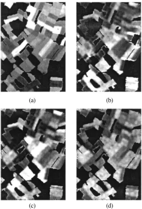 Fig. 4.  Multi-sensor remote sensing images in the study area; (a) ATM band 9 image, (b) C-band SAR HH polarization image (c) L-band SAR HV polarization image, (d) P-band SAR VV polarization image.