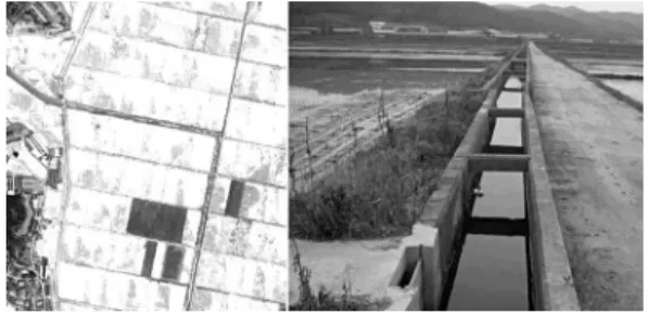 Fig. 3.  Comparison of IKONOS-2 imageries with field survey data.