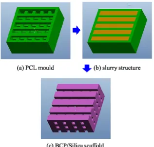 Fig. 1 Concept design of BCP/Silica scaffolds 