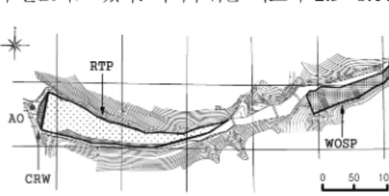 Fig. 1. Plane view of the Goro abandoned mine site. 