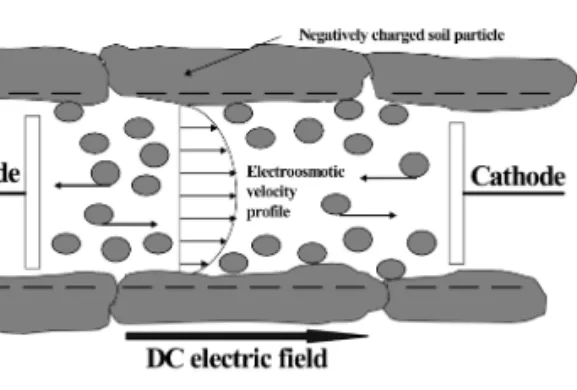 Fig. 1. Fundamental principle of electrokinetic soil proces- proces-sing technology (Acar and Alshawabkeh, 1993).