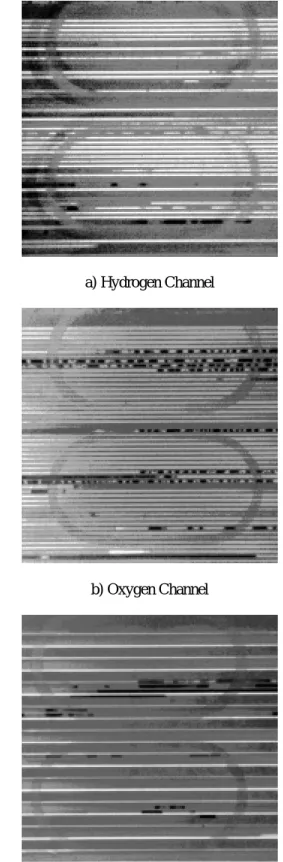 Fig. 7  2-phase flow images at a) Hydrogen, b) Oxygen,  and c) Cooling Channels 
