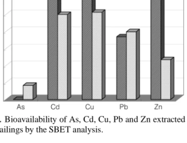 Fig. 7. Human risk assessment modeling for the abandoned metal mine sites.