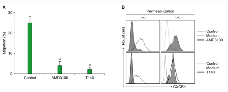 Fig. 1. AMD3100 and T140 inhibit the SDF-1-induced chemotaxis of myeloid leukemia cells, and trigger the internalization of surface CXCR4