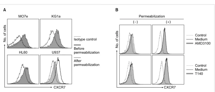 Fig. 5. Myeloid leukemia cells express CXCR7 on the cell surface, which is internalized by AMD3100