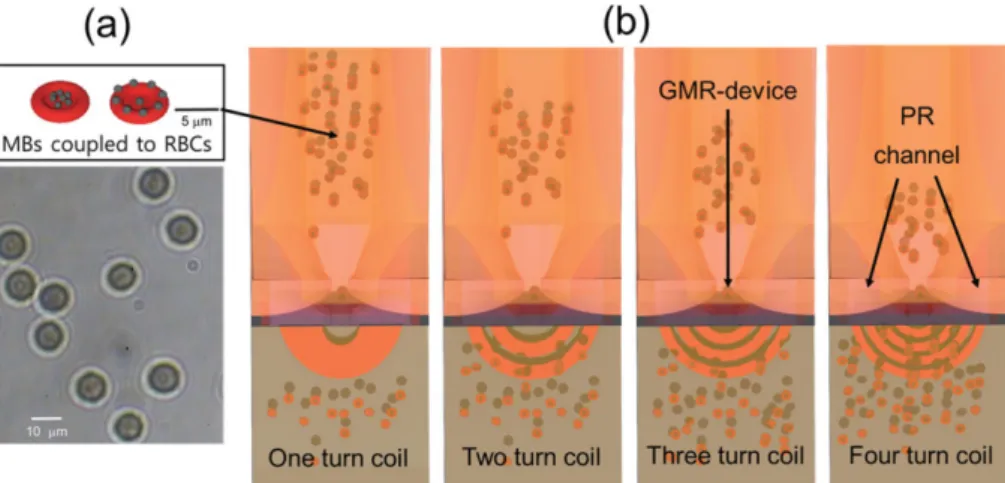 Fig. 6. (Color online) (a) Major MR curve and (b) minor MR curve of dual-type GMR-SV film measured by four-probe method, and (c) minor MR curve of GMR-SV device measured by four-probe method
