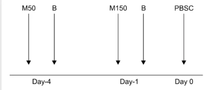 Fig. 1. Schematic diagram of the bortezomib and melphalan condi- condi-tioning regimen