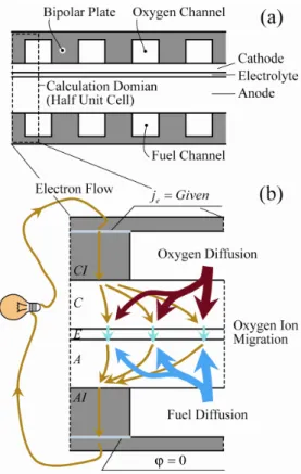 Fig. 2 Two networks for electrical and mass transport in  cathode  only  model  for  anode-supported  planar  SOFC; 