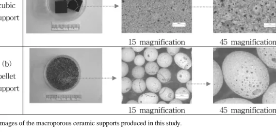 Table 6. Physical properties of the cubic ceramic support developed in this study.