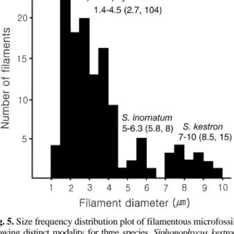 Table 2. List of coccoid microfossils from the Sukhaya Tunguska cherty stromatolites.