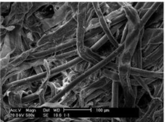 Fig. 3  SEM  photo  of  the  paper  used  in  the  present  indirect evaporative cooler 