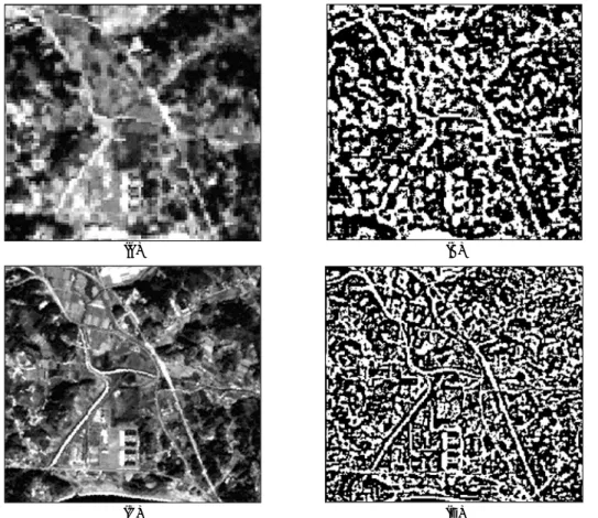 Fig. 5.  Extraction of road features using GDPA: (A) LANDSAT 7 ETM+ image, (B) GDPA result using (A), (C) KOMPSAT EOC image at the same area in (A), and (D) GDPA result using (B).