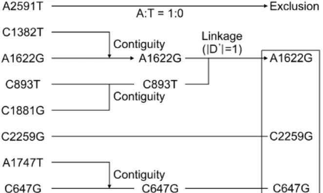Table 1. P2Y1 primers