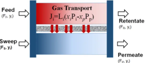 Fig. 1 In/Out/Transport flow in Model 1tube :  튜브I : 개별 가스 종r : 잔류 가스 출구측p : 투과측 출구f : 가스 공급측1