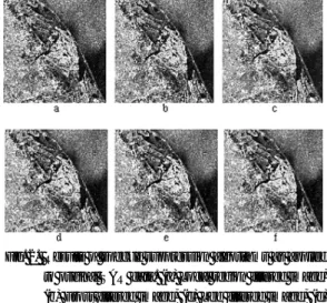 Fig. 2.  Results of speckle suppression algorithms as applied to original SAR data. (a) Local region filtered image, (b) Frost filtered image, (c) Lee filtered image, (d) median filtered image, (e) Leesigma filtered image, and (f) gamma filtered image.