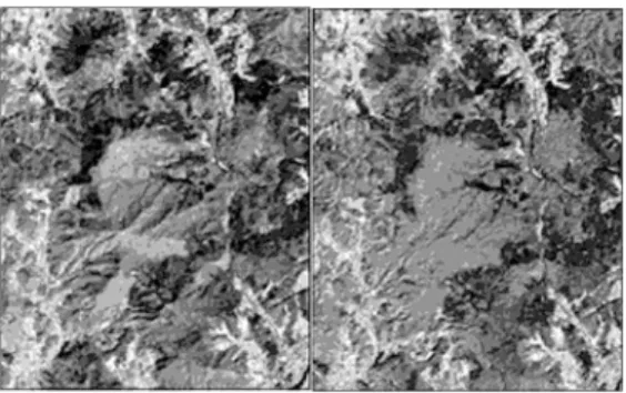Fig. 1.  Before  and  after  images  of  Minnaert  radiometric correction of topographic effects.