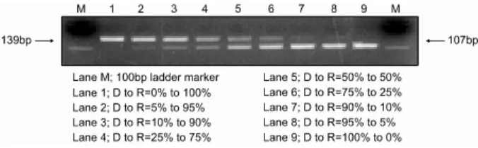 Fig. 1. Assessing the degree of mixed chimerism in an arbi- arbi-trary cell mixture using PCR amplification of a microsatellite in the class II Eb gene of the murine MHC