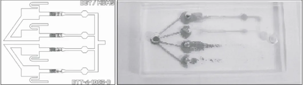 Fig. 1. The basic parts of blood typing microchip.