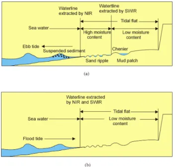 Figure 1. Two schematic models of the tidal flat spectral  reflectance environment in terms of tidal condition  during (a) ebb tide and (b) flood tide (after Ryu et al.,  2002)