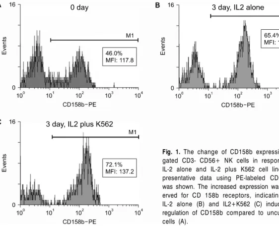 Fig. 1. The change of CD158b expression on  gated CD3- CD56+ NK cells in response to  IL-2 alone and IL-2 plus K562 cell line