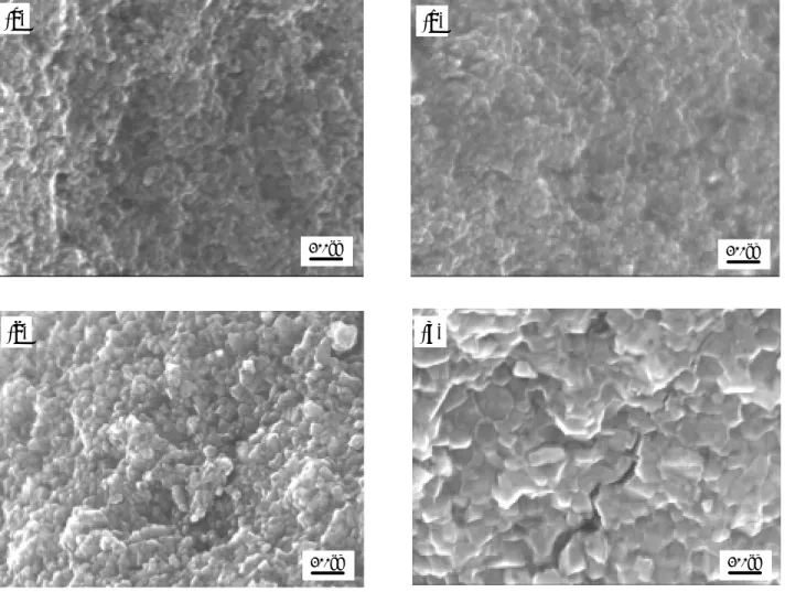 Fig. 7 Fracture surface of LPS-SiC ceramics after 3 point bending test                             Sintering  temperature  (a)  1760 o C  (b) 1780 o C  (c) 1800 o C  (d) 1820 o C