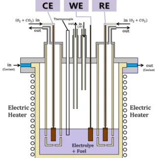 Fig. 1 Schematic of DCFC system(CE: Counter  electrode, WE: Working electrode, RE: 