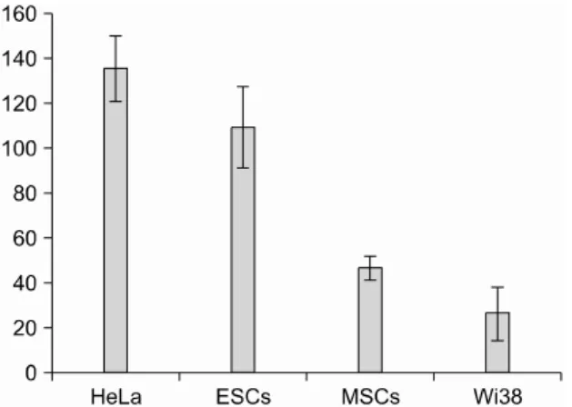 Fig. 2. Telomerase activity in experimental cell lines. The  telomerase activity was assayed by a telomere repeat  amplification protocol (TRAP) assay using 2,000 cells