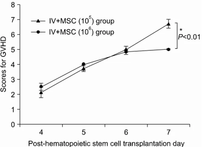 Fig. 5. Survival in BALB/c mice in intravenous mesenchy- mesenchy-mal stem cell co-injection hematopoietic stem cell  trans-plantation experimental group