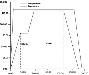 Fig. 2 Schematicdiagram of SEN (single-edge notched) Al/CFRP composites specimen