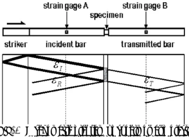 Fig. 1  A schematic diagram of specimen and elastic  stress wave propagation for the compressive 