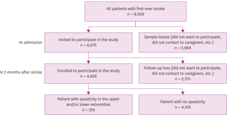 Fig. 1. Consort flow diagram for stroke patients.