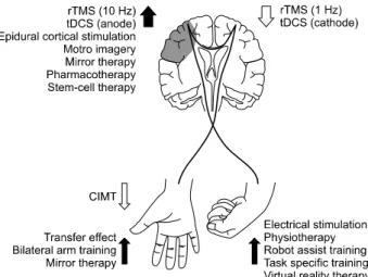 Fig. 1. Neuromodulation techniques for improving motor function after stroke.