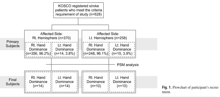 Fig. 1. Flowchart of participant’s recrui- recrui-tment.전 우세 손이 왼손인 대상자와 특성이 가장 유사한 14명을 추출하였으며, 좌측 반구 손상 환자 중 병전 우세 손이 오른손인 248명 중 10명을 추출하여 최종 결과 분석을 시행하였다(Fig